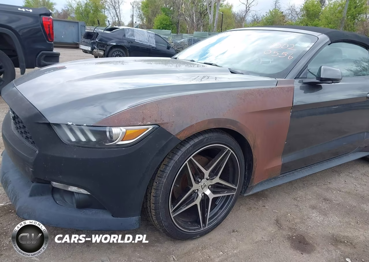 2015 Ford Mustang Ecoboost Premium VIN:1FATP8UH9F5419800 - 6