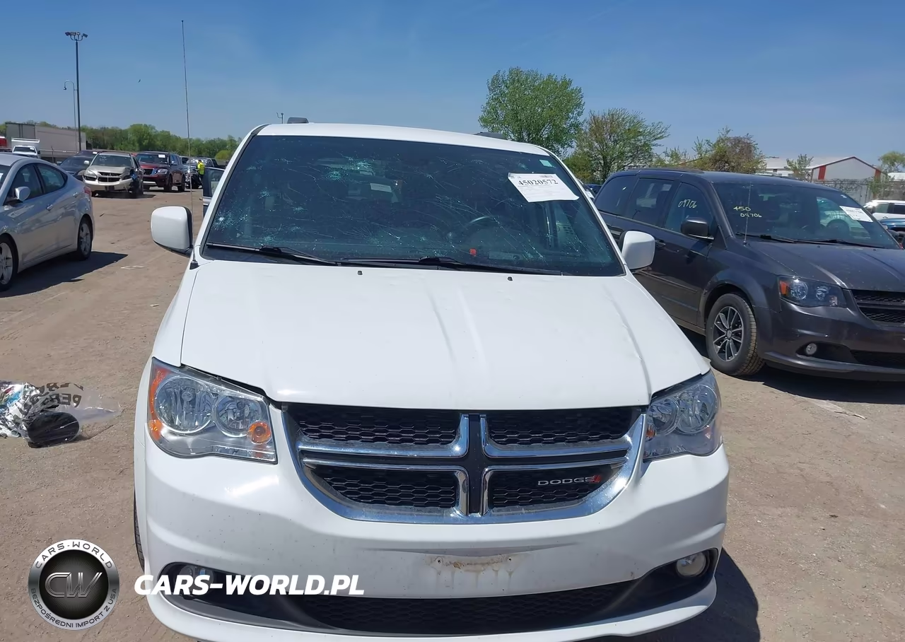 2019 Dodge Grand Caravan Sxt VIN:2C4RDGCG7KR661031 - 12