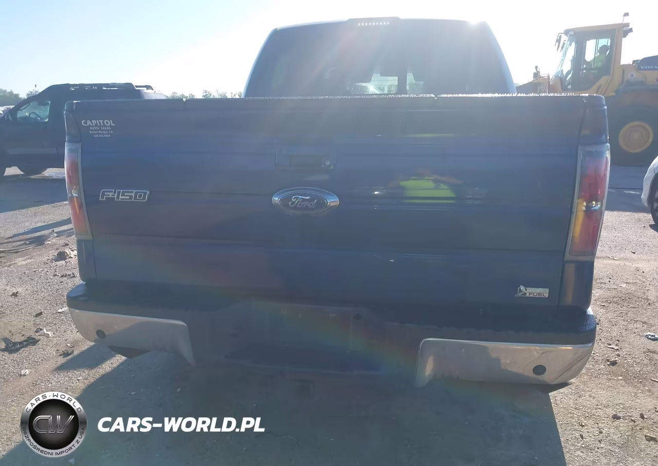 2010 Ford F-150 Lariat VIN:1FTFW1CV9AFD03878 - 16