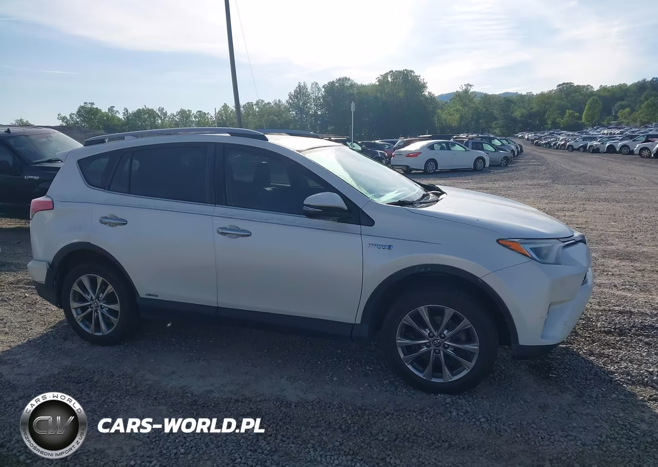 2018 Toyota Rav4 Hybrid Limited VIN:JTMDJREVXJD210994 - 13