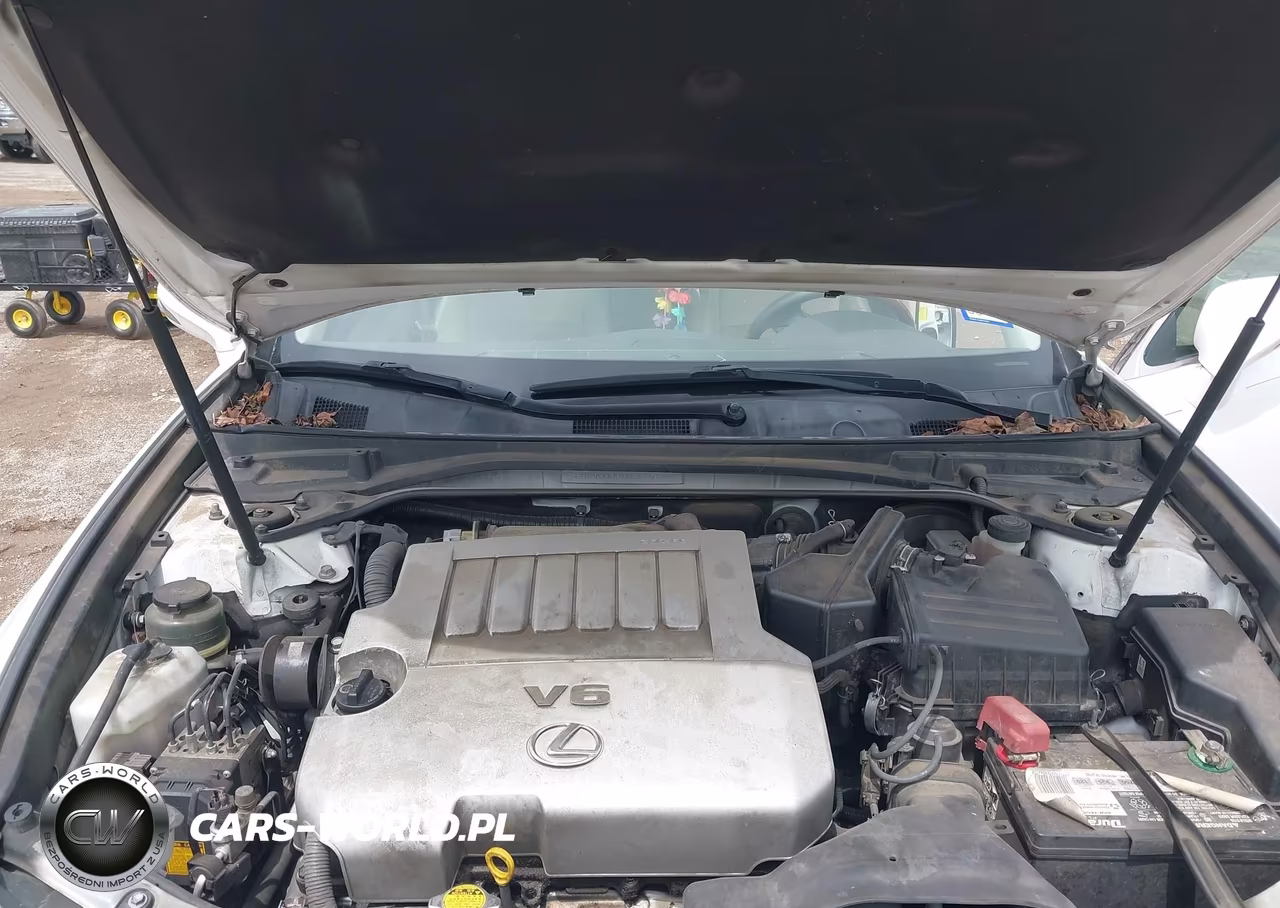 2010 Lexus Es 350 VIN:JTHBK1EG9A2391099 - 10