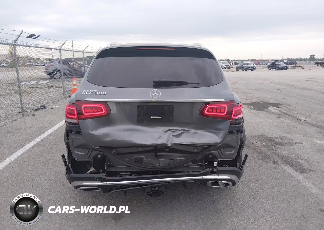 2020 Mercedes-Benz Glc 300 VIN:W1N0G8DB7LF850756 - 17