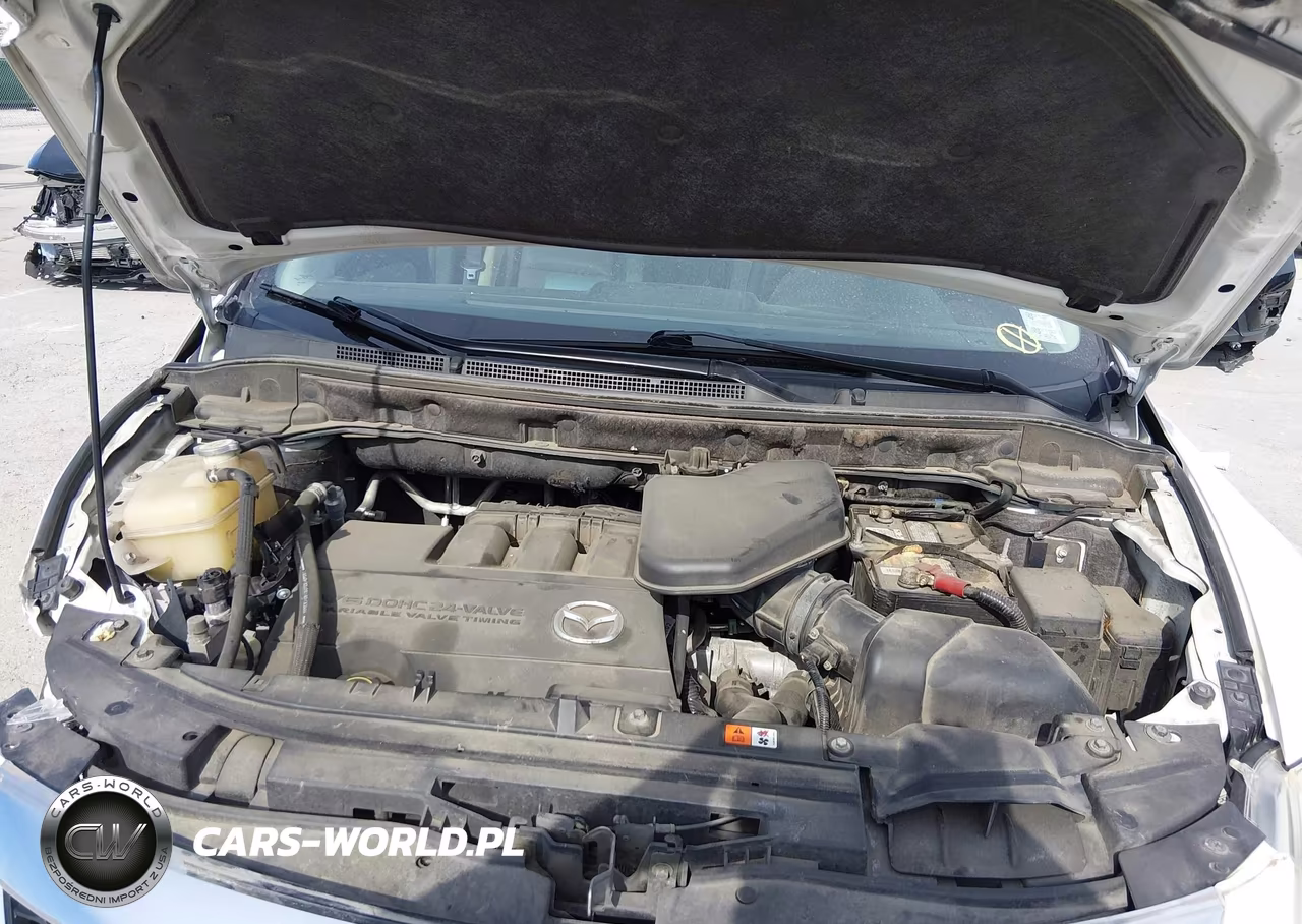 2010 Mazda Cx-9 Touring VIN:JM3TB3MA7A0216528 - 10