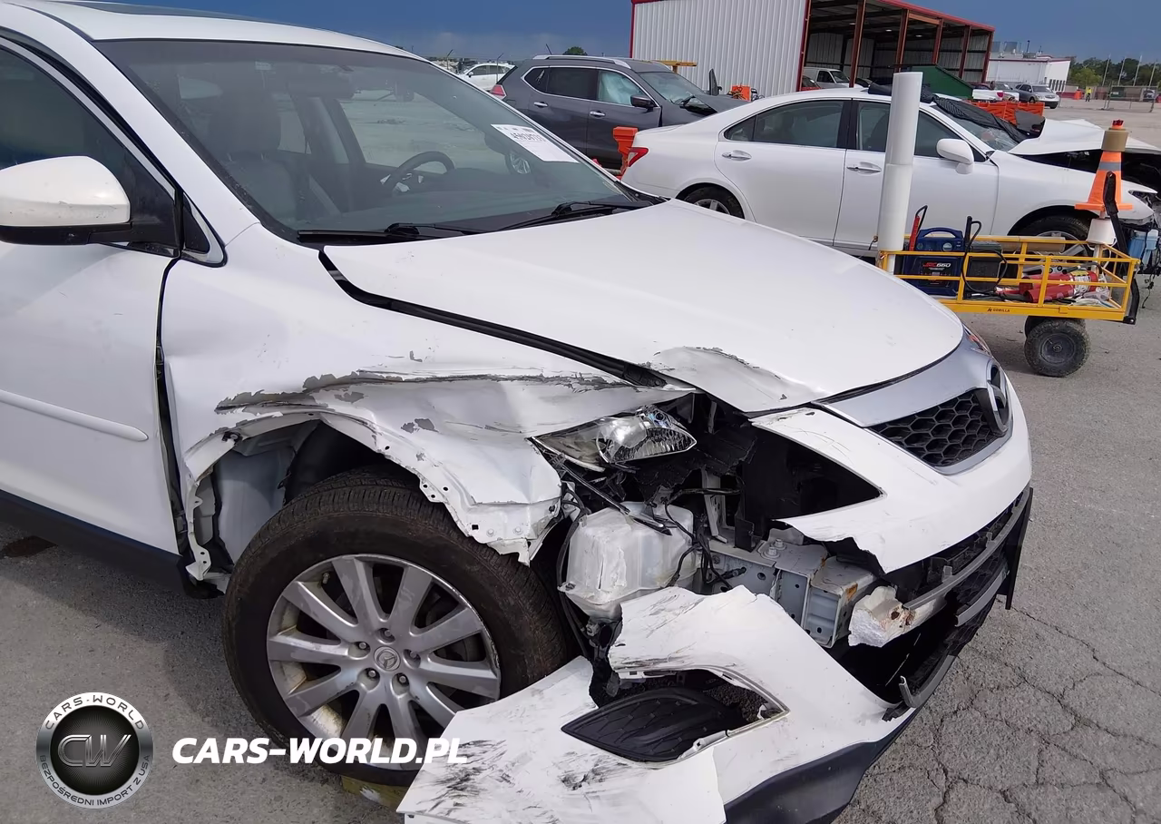 2010 Mazda Cx-9 Touring VIN:JM3TB3MA7A0216528 - 6