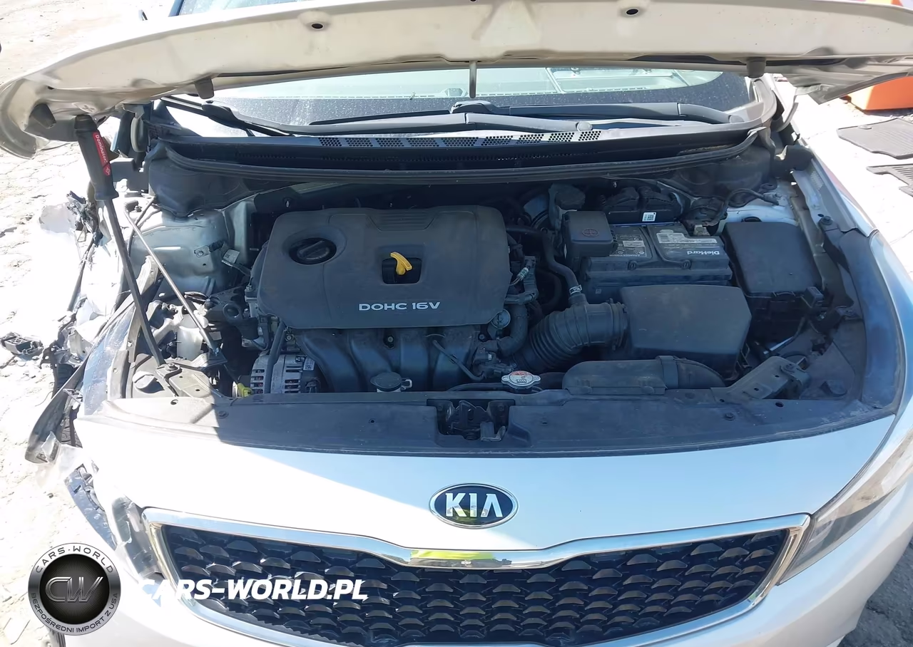 2017 Kia Forte Lx VIN:3KPFK4A71HE045460 - 10