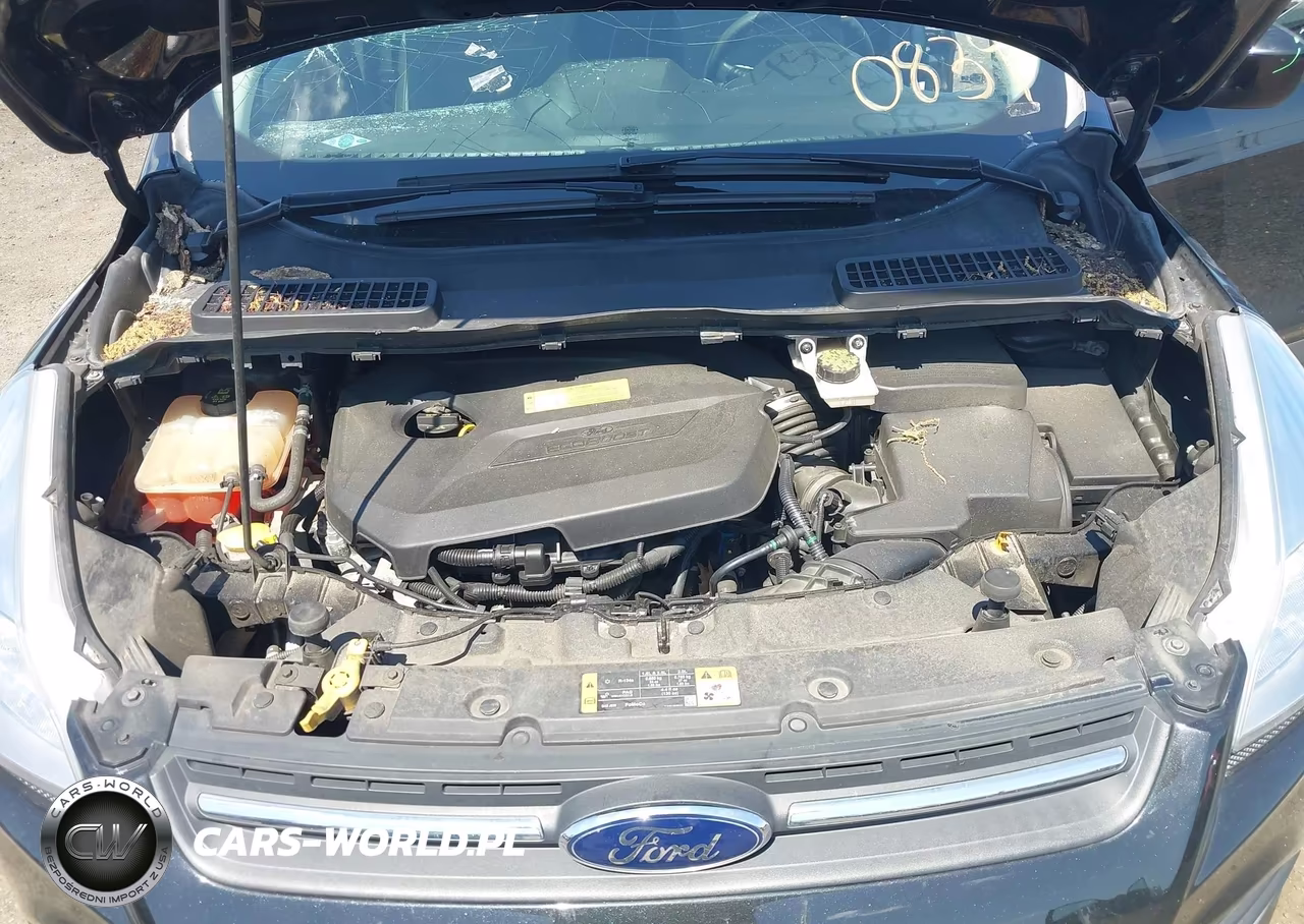 2014 Ford Escape Se VIN:1FMCU9GX3EUB04275 - 10