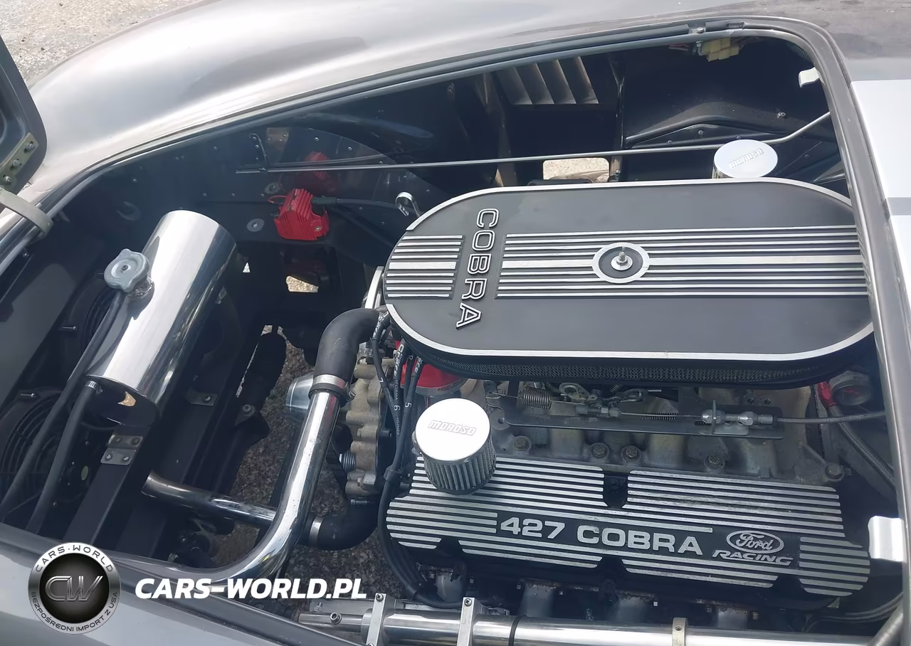 1965 Ford Cobra Roadster 427 VIN:AA9BMAAHV51CN1153 - 10