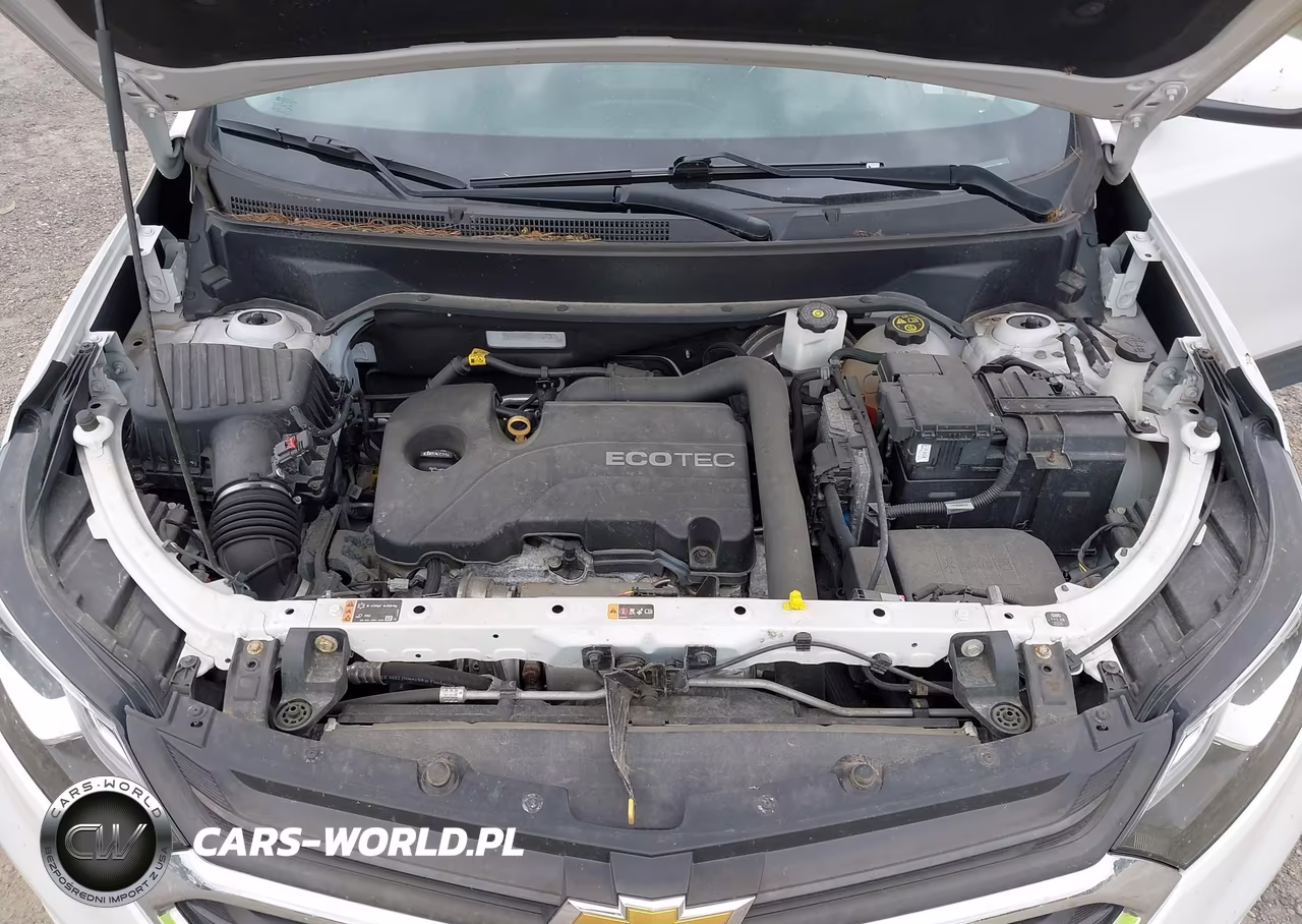 2019 Chevrolet Equinox Lt VIN:2GNAXUEV1K6201287 - 10