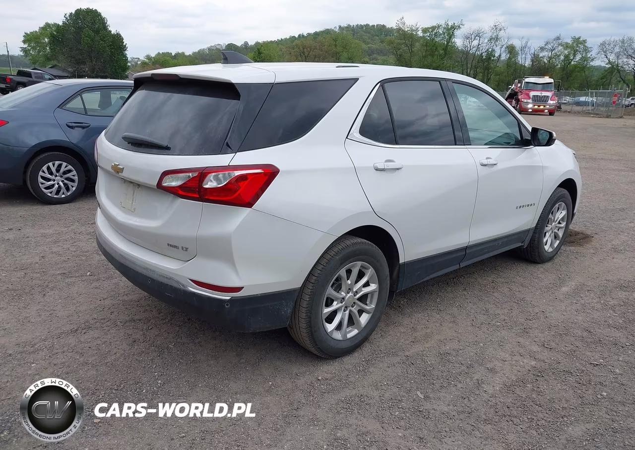 2019 Chevrolet Equinox Lt VIN:2GNAXUEV1K6201287 - 4