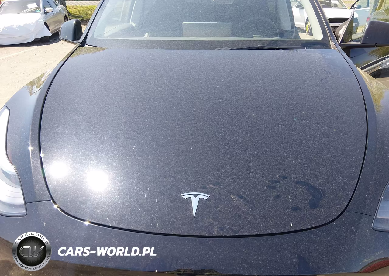 2024 Tesla Model Y Long Range Single Motor Rear-Wheel Drive-Rwd VIN:7SAYGDEDXRF192417 - 10