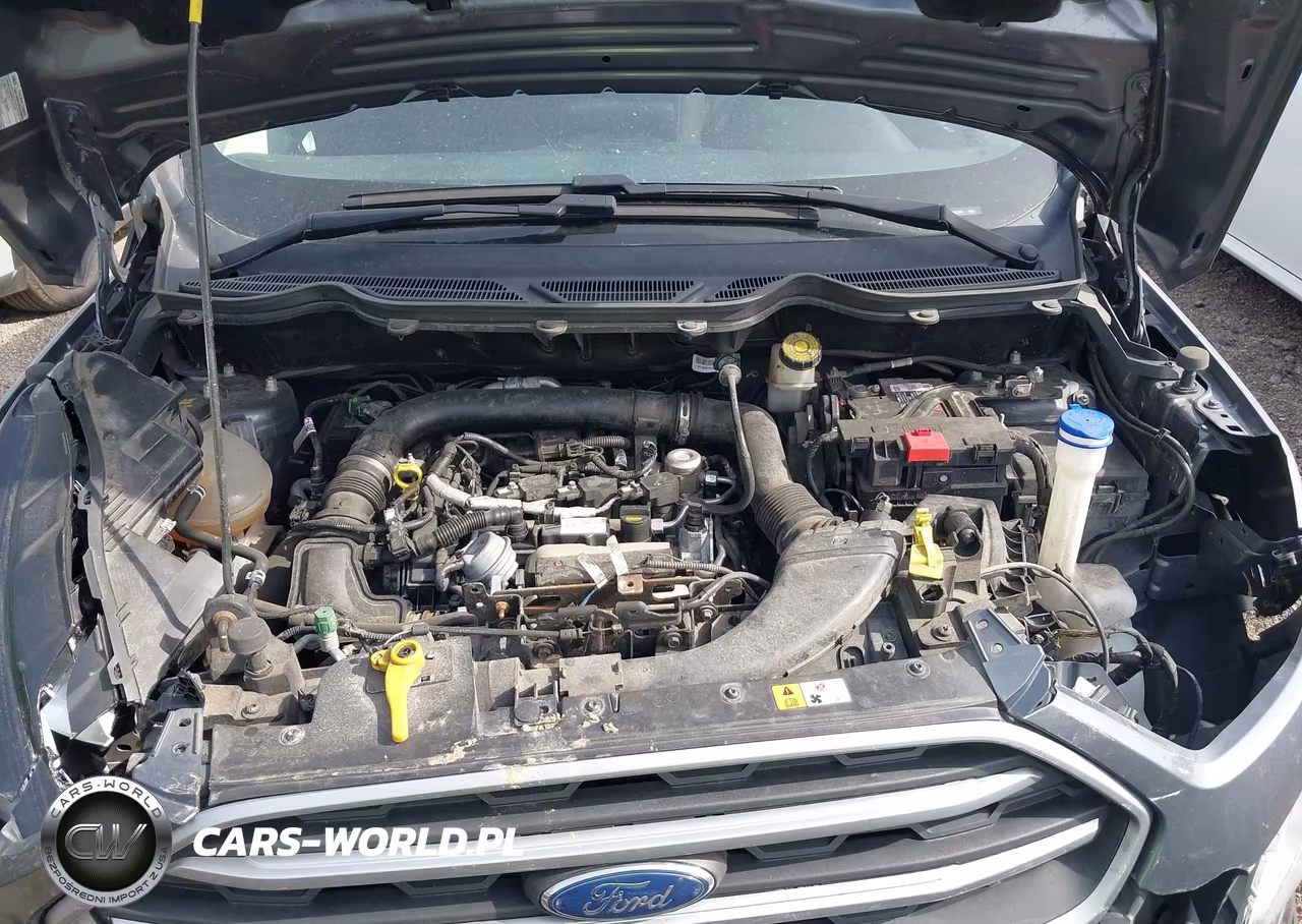 2019 Ford Ecosport Se VIN:MAJ3S2GE6KC292264 - 10