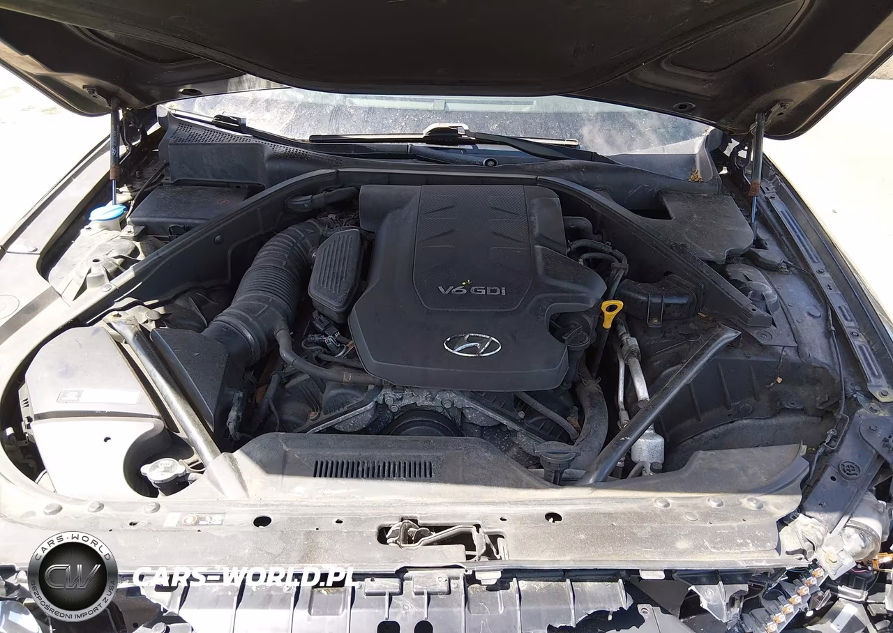 2015 Hyundai Genesis 3.8 VIN:KMHGN4JE9FU069302 - 10