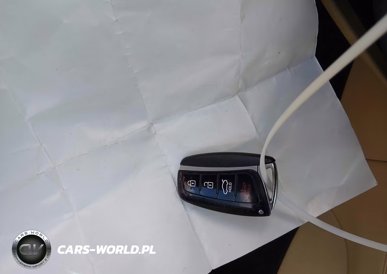 2015 Hyundai Genesis 3.8 VIN:KMHGN4JE9FU069302 - 11
