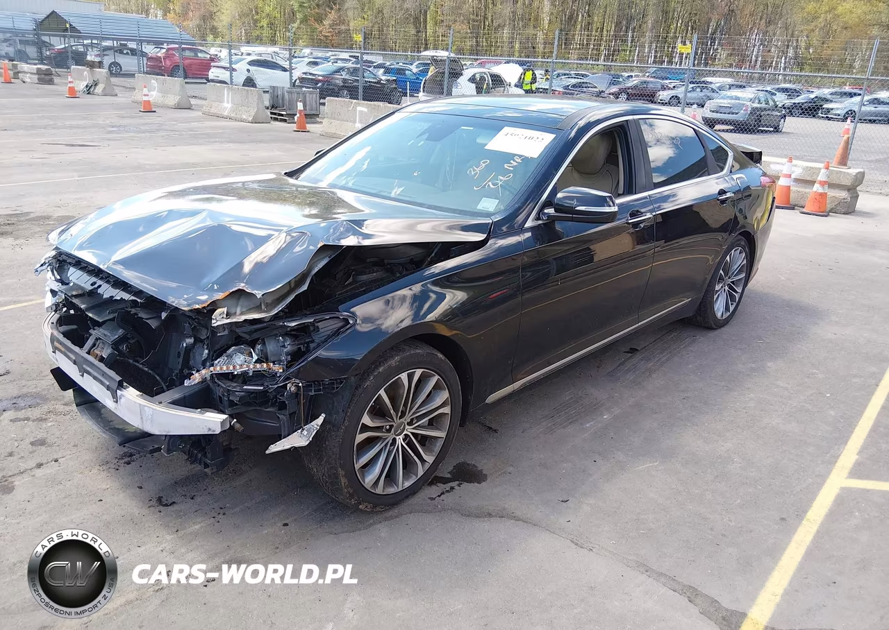 2015 Hyundai Genesis 3.8 VIN:KMHGN4JE9FU069302 - 2