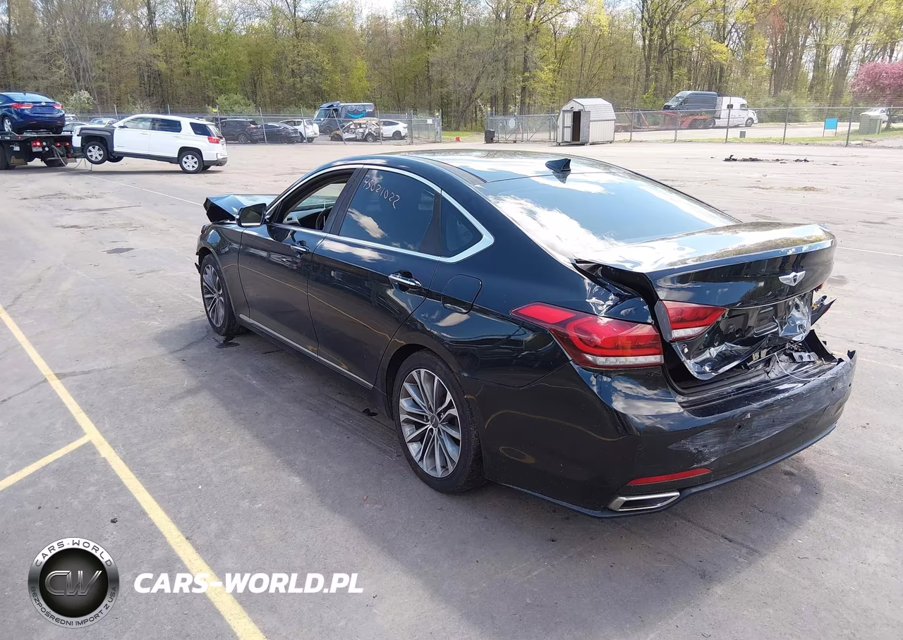 2015 Hyundai Genesis 3.8 VIN:KMHGN4JE9FU069302 - 3