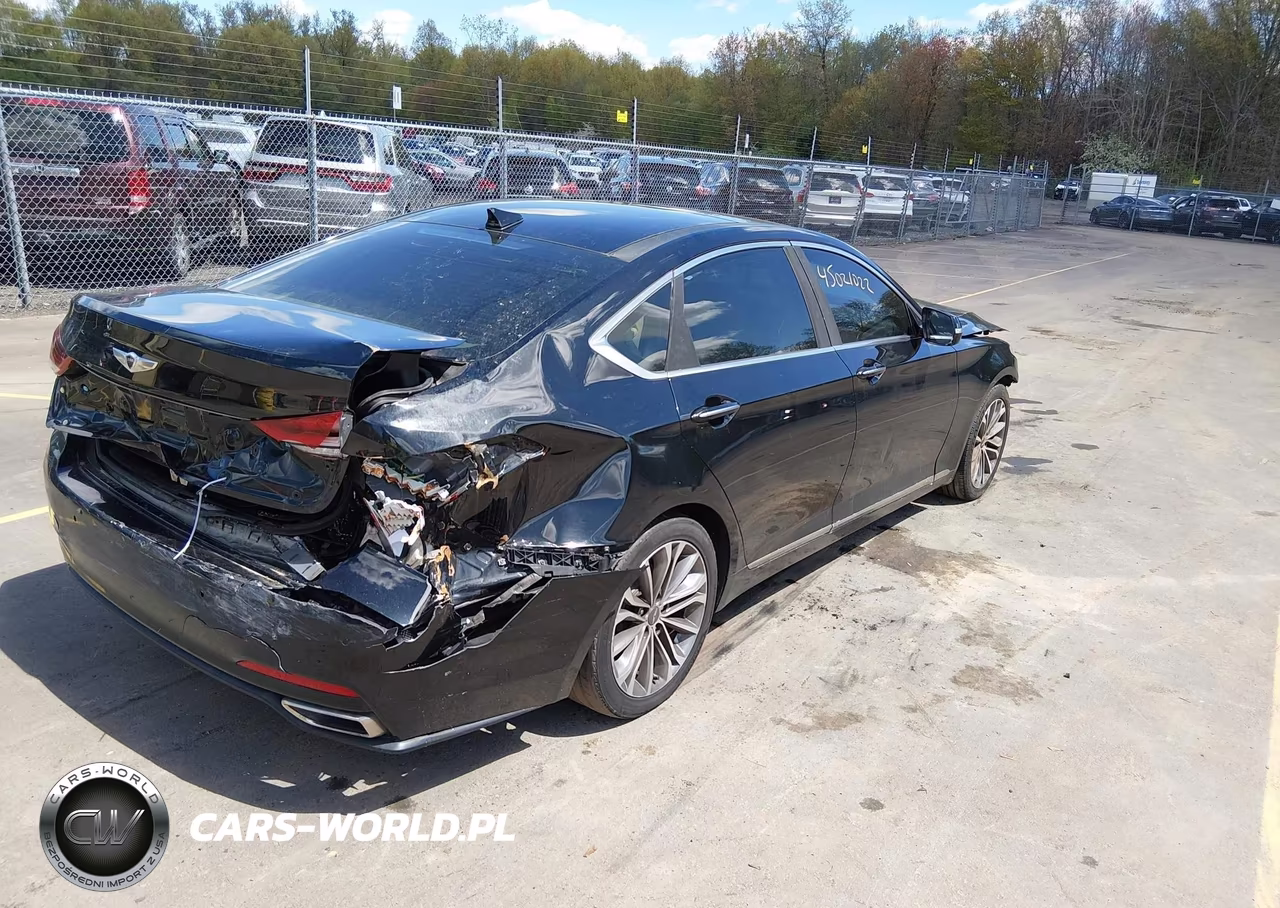 2015 Hyundai Genesis 3.8 VIN:KMHGN4JE9FU069302 - 4