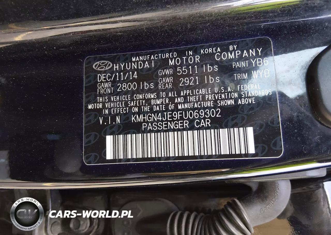 2015 Hyundai Genesis 3.8 VIN:KMHGN4JE9FU069302 - 9