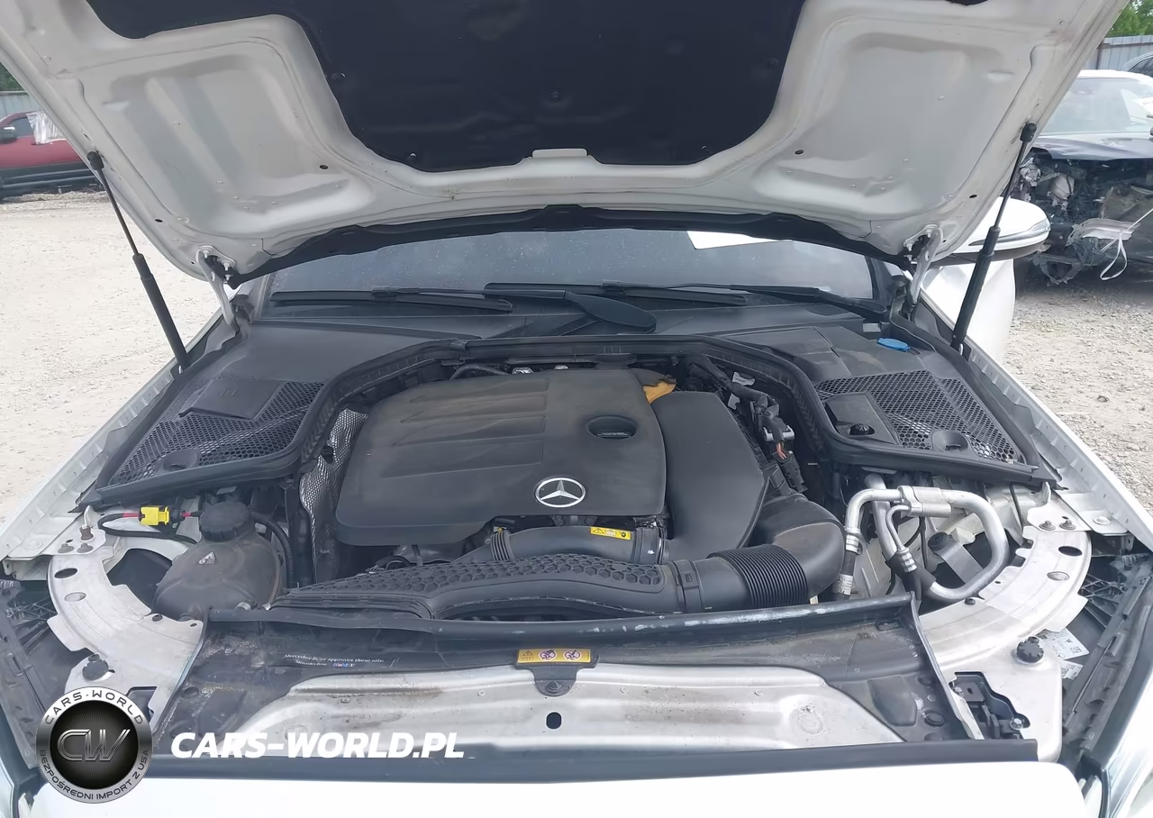 2019 Mercedes-Benz C 300 4Matic VIN:55SWF8EB8KU292176 - 10