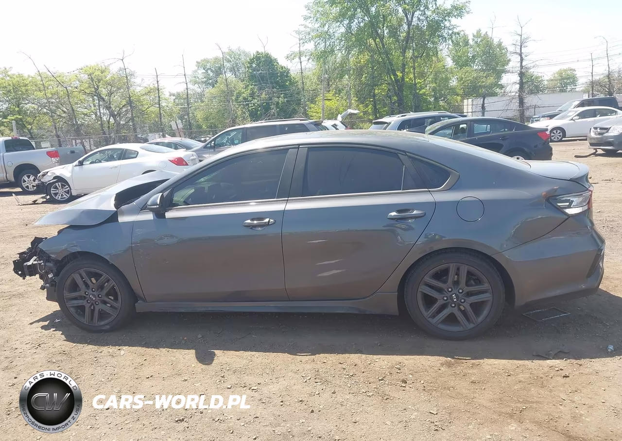 2020 Kia Forte Gt-Line VIN:3KPF34AD0LE160823 - 14