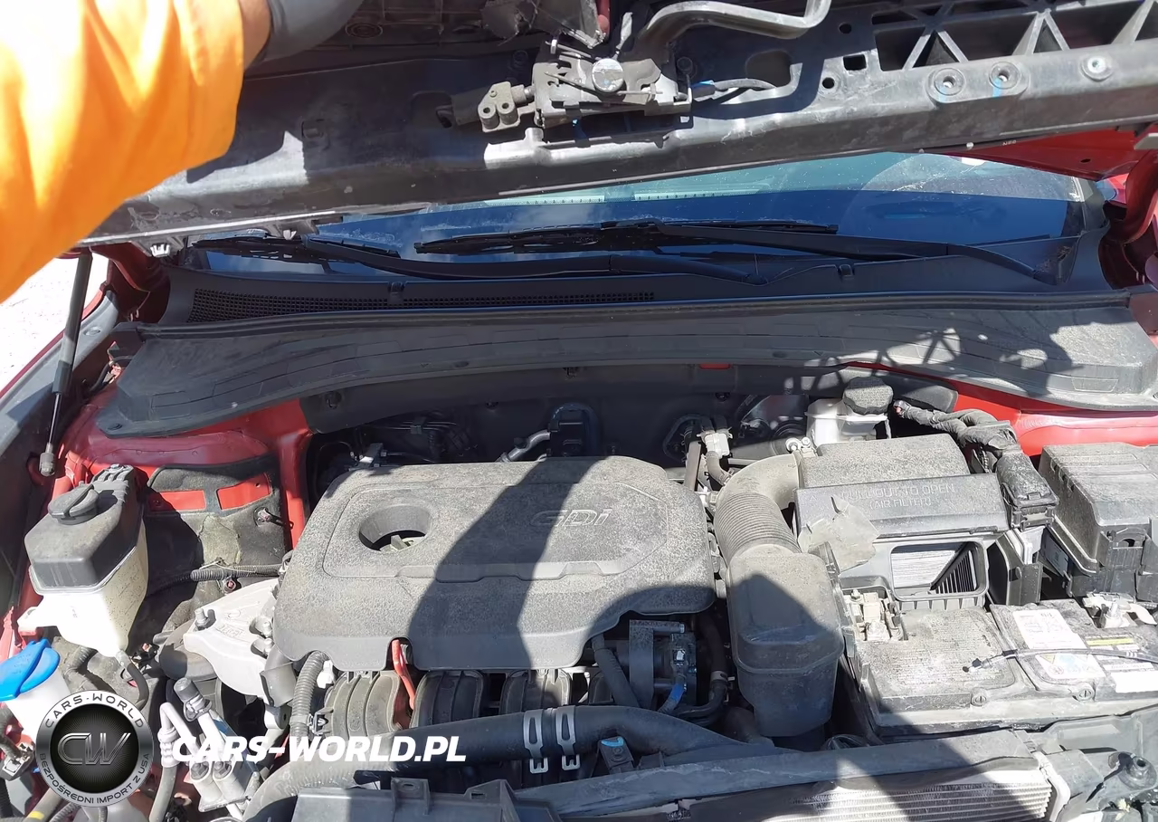2019 Hyundai Santa Fe Sel Plus VIN:5NMS3CAD8KH004982 - 10