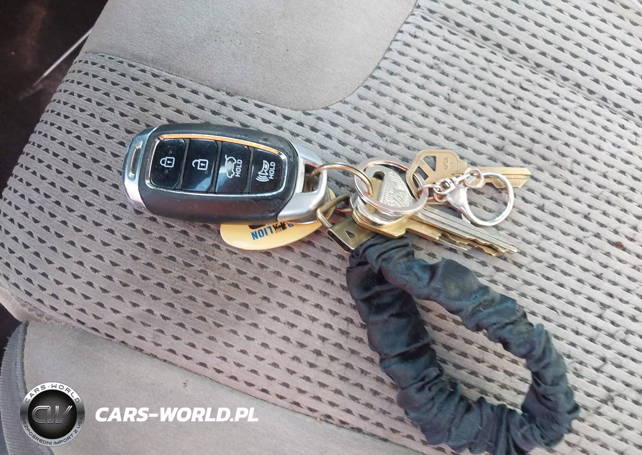 2019 Hyundai Santa Fe Sel Plus VIN:5NMS3CAD8KH004982 - 11