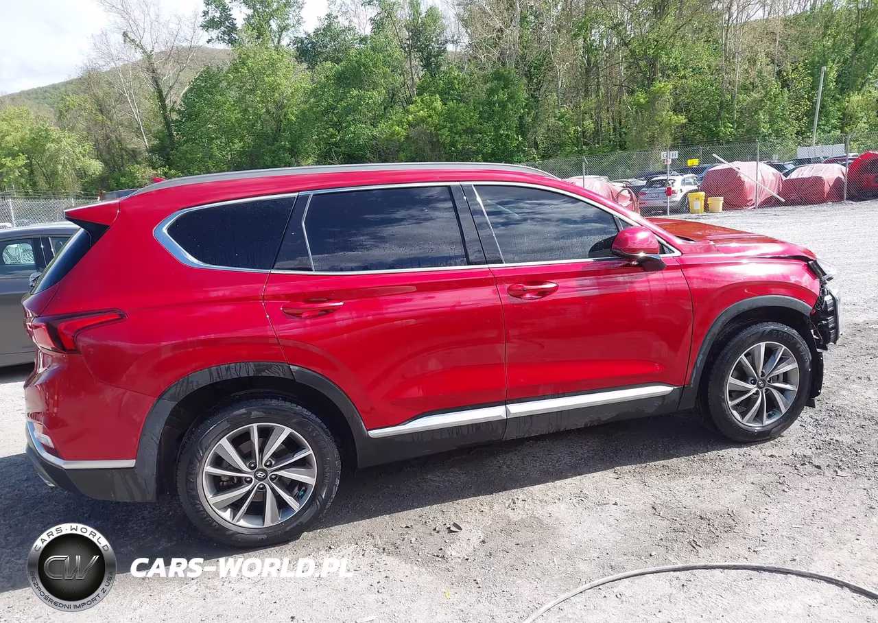 2019 Hyundai Santa Fe Sel Plus VIN:5NMS3CAD8KH004982 - 13