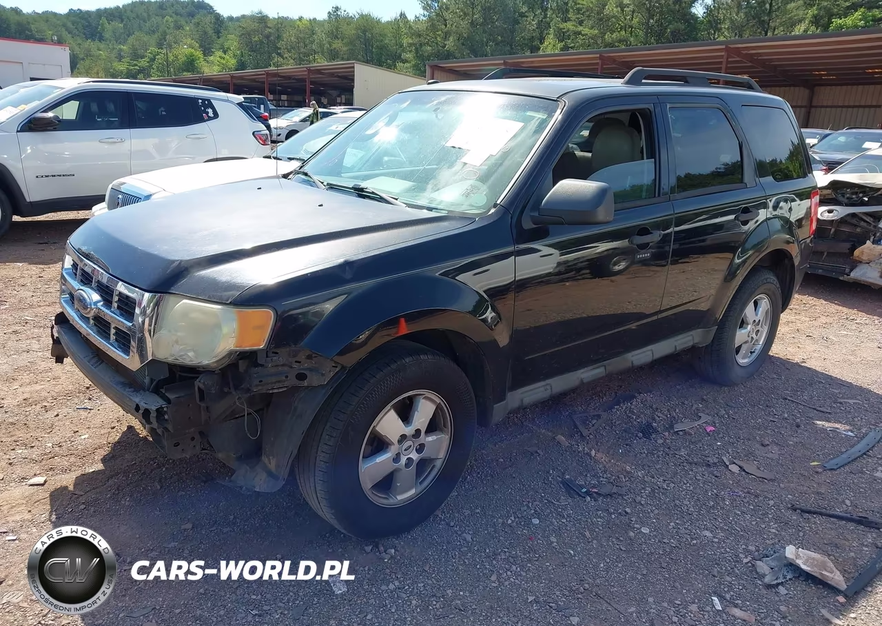 2009 Ford Escape Xlt VIN:1FMCU03G19KA50493 - 2