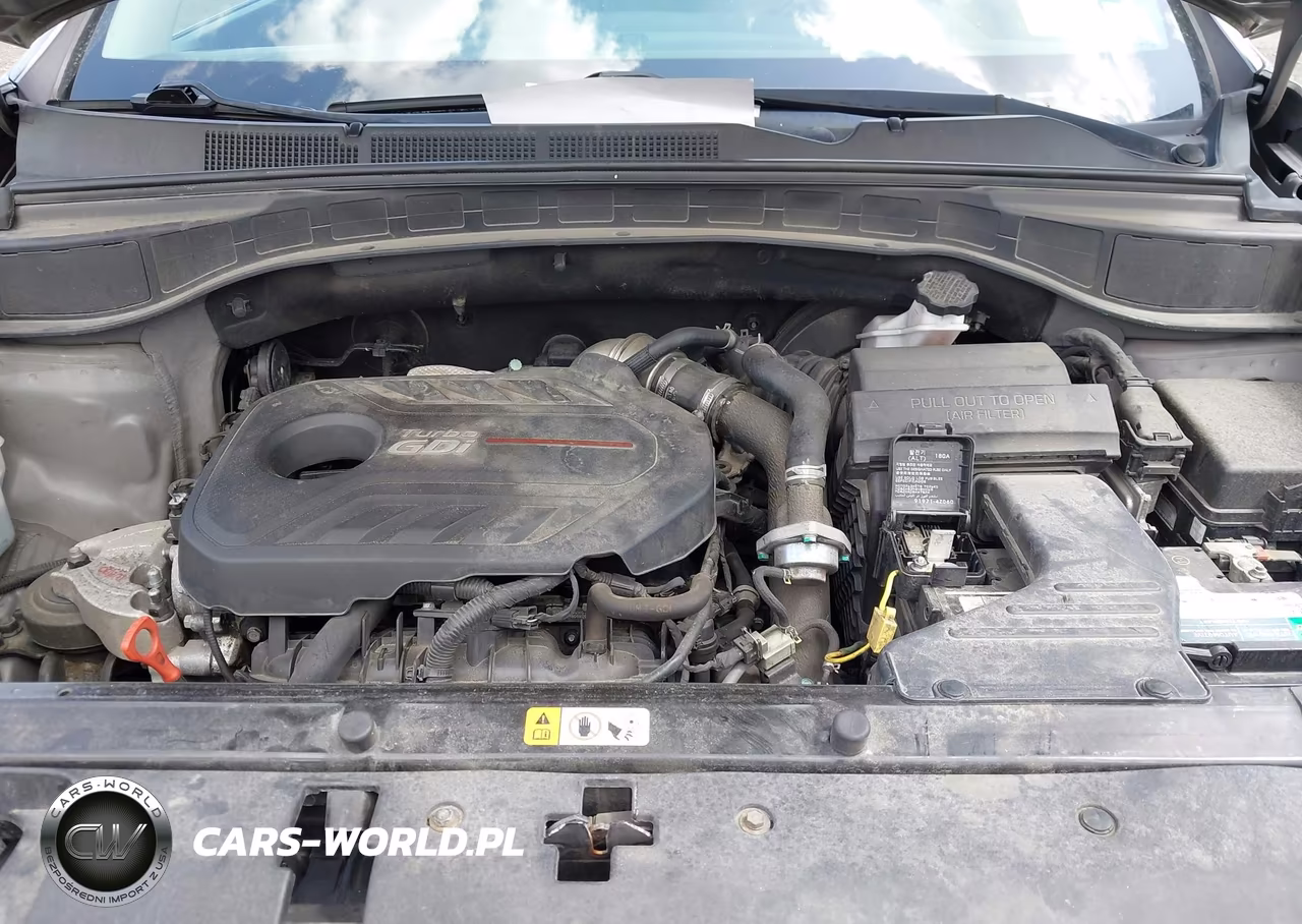 2018 Hyundai Santa Fe Sport 2.0T Ultimate VIN:5XYZWDLA7JG564936 - 10