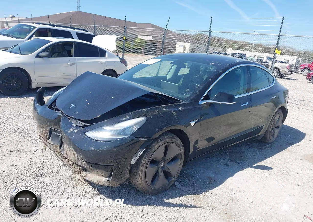 2019 Tesla Model 3 Long Range-Performance VIN:5YJ3E1EB1KF193455 - 2