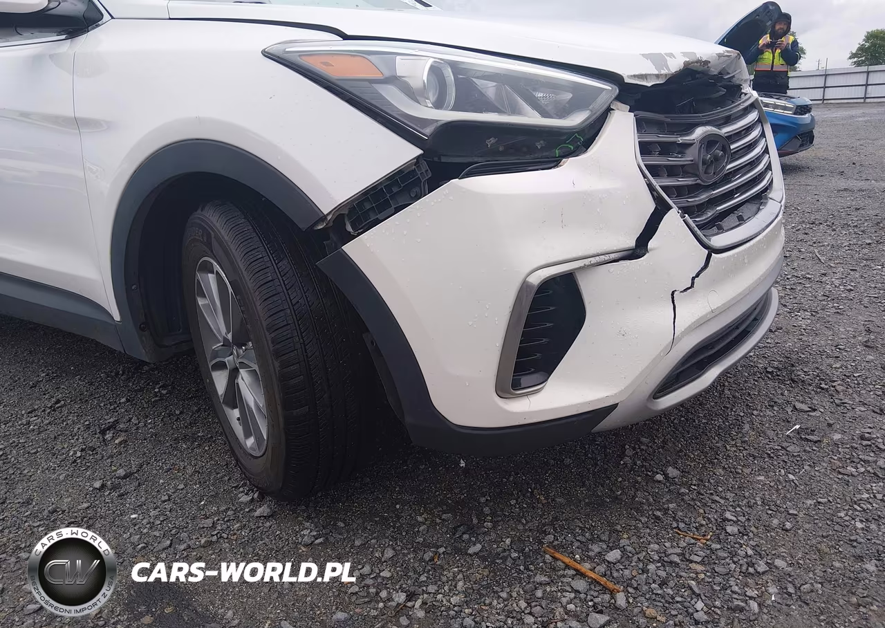 2017 Hyundai Santa Fe Se VIN:KM8SM4HF4HU183819 - 17