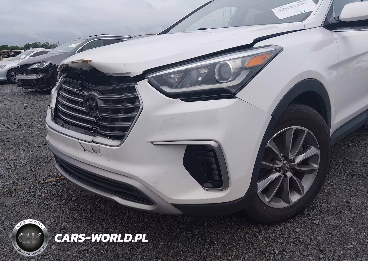 2017 Hyundai Santa Fe Se VIN:KM8SM4HF4HU183819 - 18