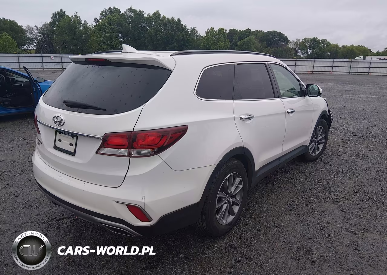 2017 Hyundai Santa Fe Se VIN:KM8SM4HF4HU183819 - 4