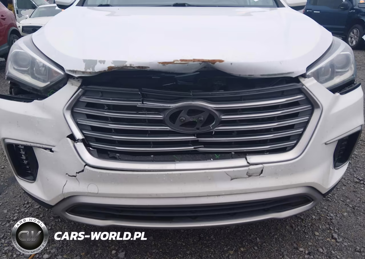 2017 Hyundai Santa Fe Se VIN:KM8SM4HF4HU183819 - 6