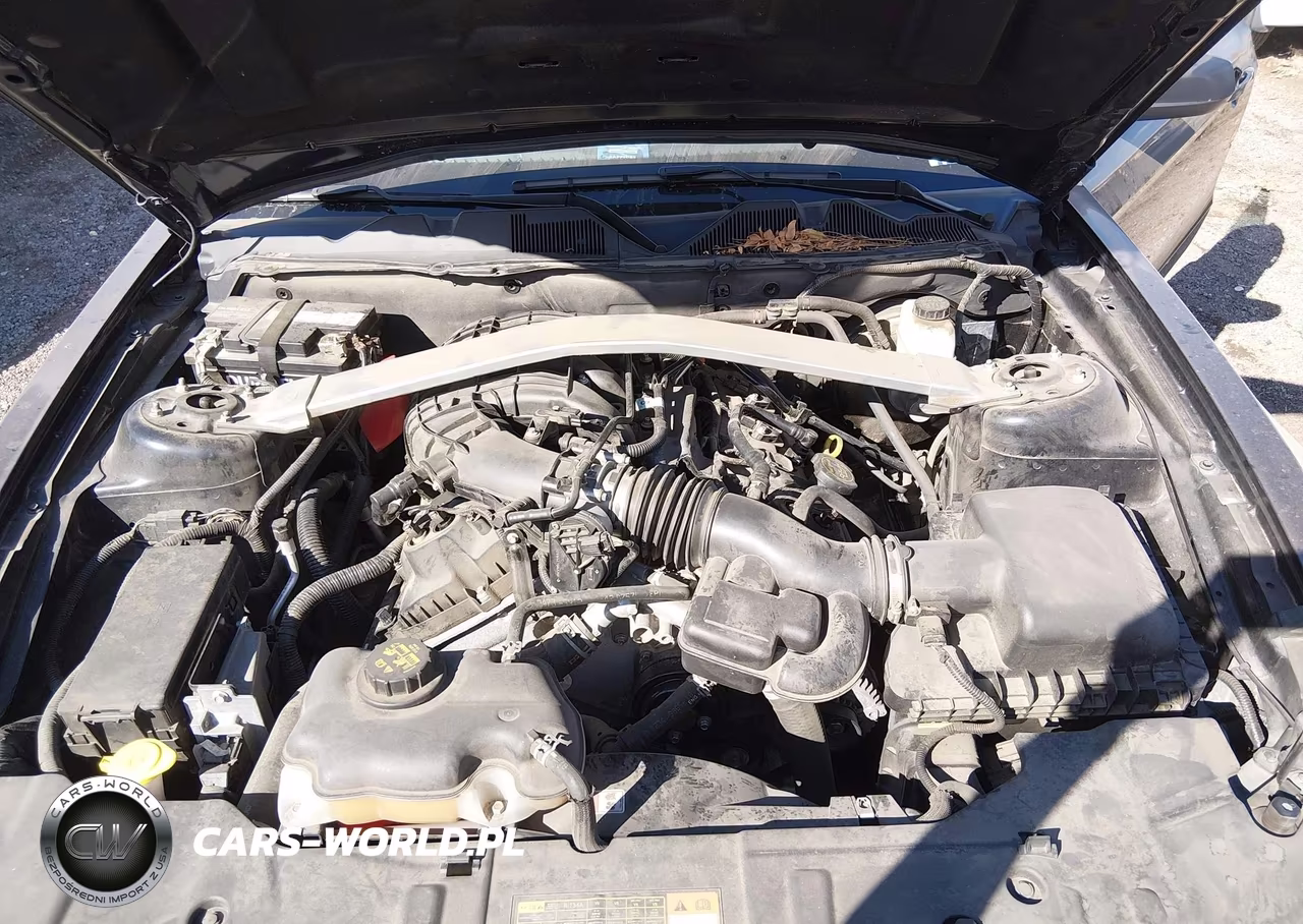 2014 Ford Mustang VIN:1ZVBP8EM2E5296841 - 10