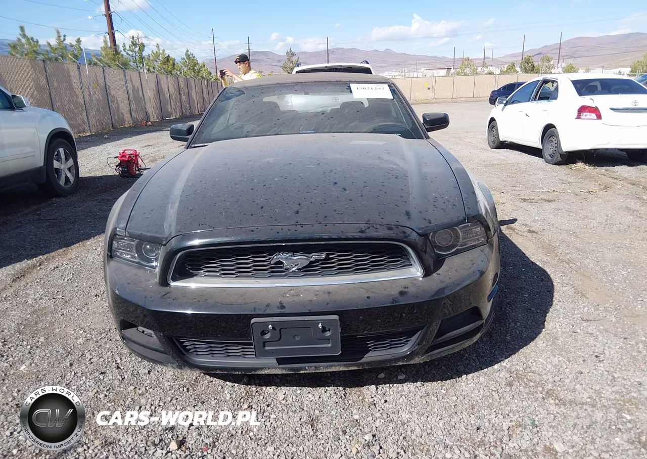 2014 Ford Mustang VIN:1ZVBP8EM2E5296841 - 12