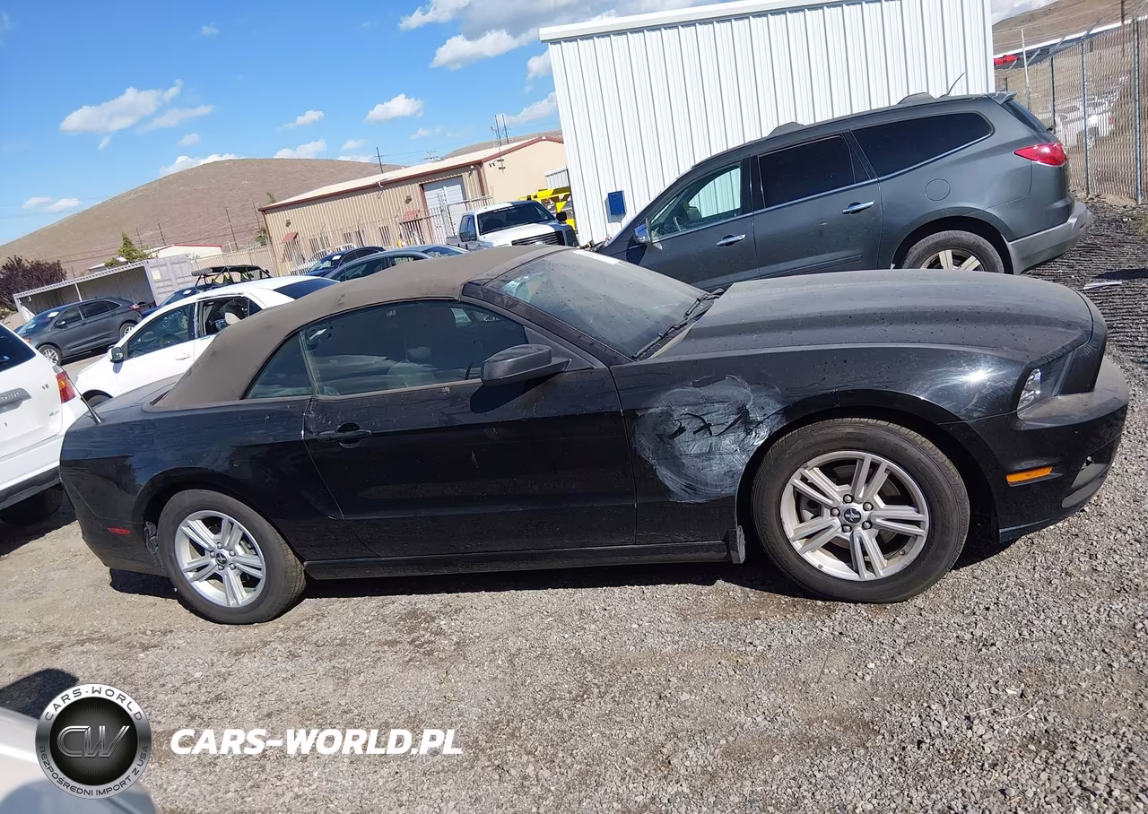 2014 Ford Mustang VIN:1ZVBP8EM2E5296841 - 13