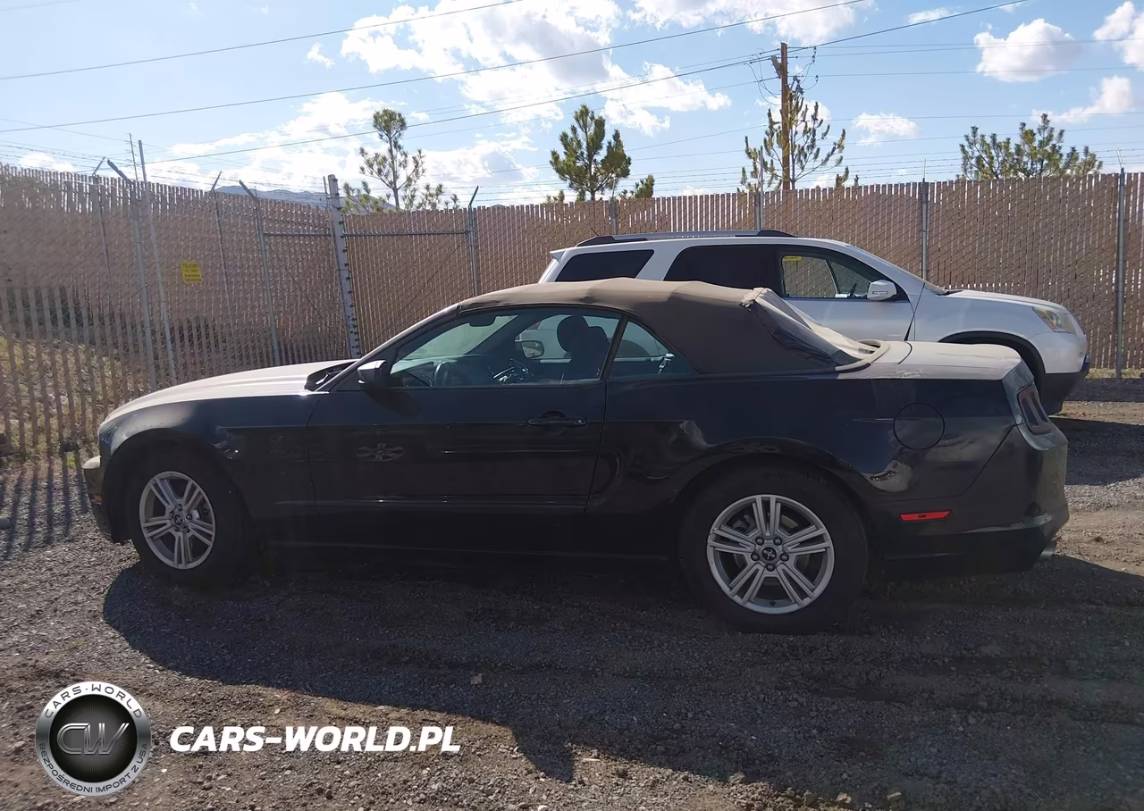 2014 Ford Mustang VIN:1ZVBP8EM2E5296841 - 14