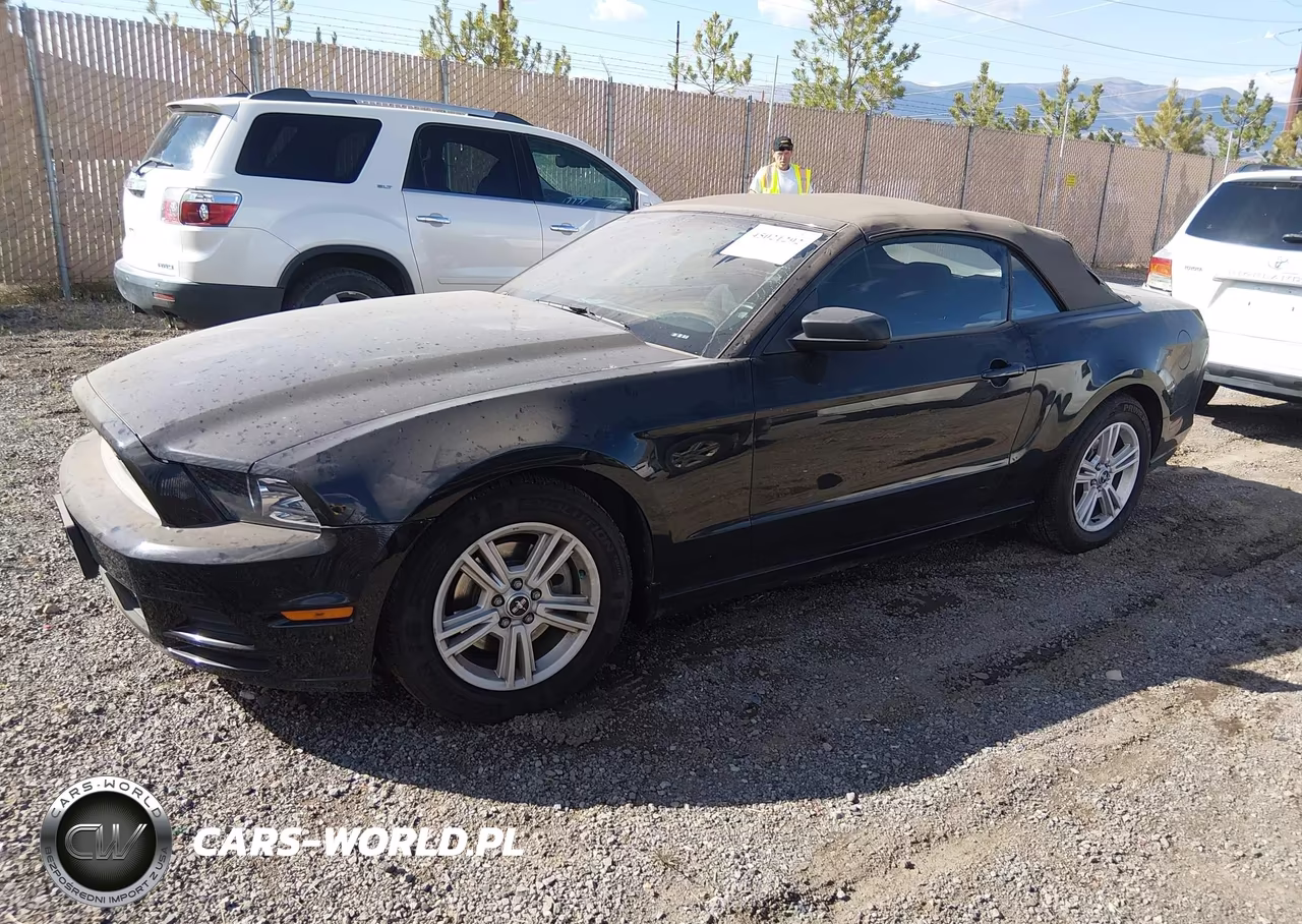 2014 Ford Mustang VIN:1ZVBP8EM2E5296841 - 2
