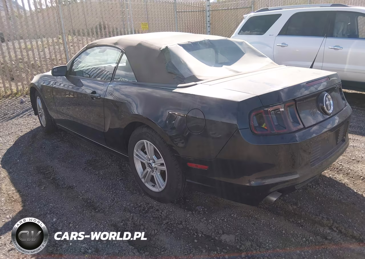 2014 Ford Mustang VIN:1ZVBP8EM2E5296841 - 3