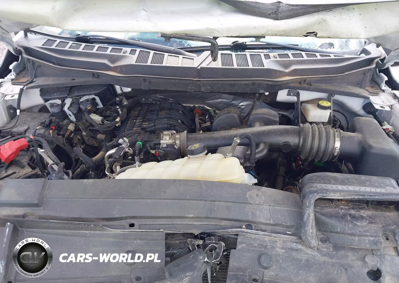 2021 Ford F-150 Xl VIN:1FTEW1EB3MKF08350 - 10