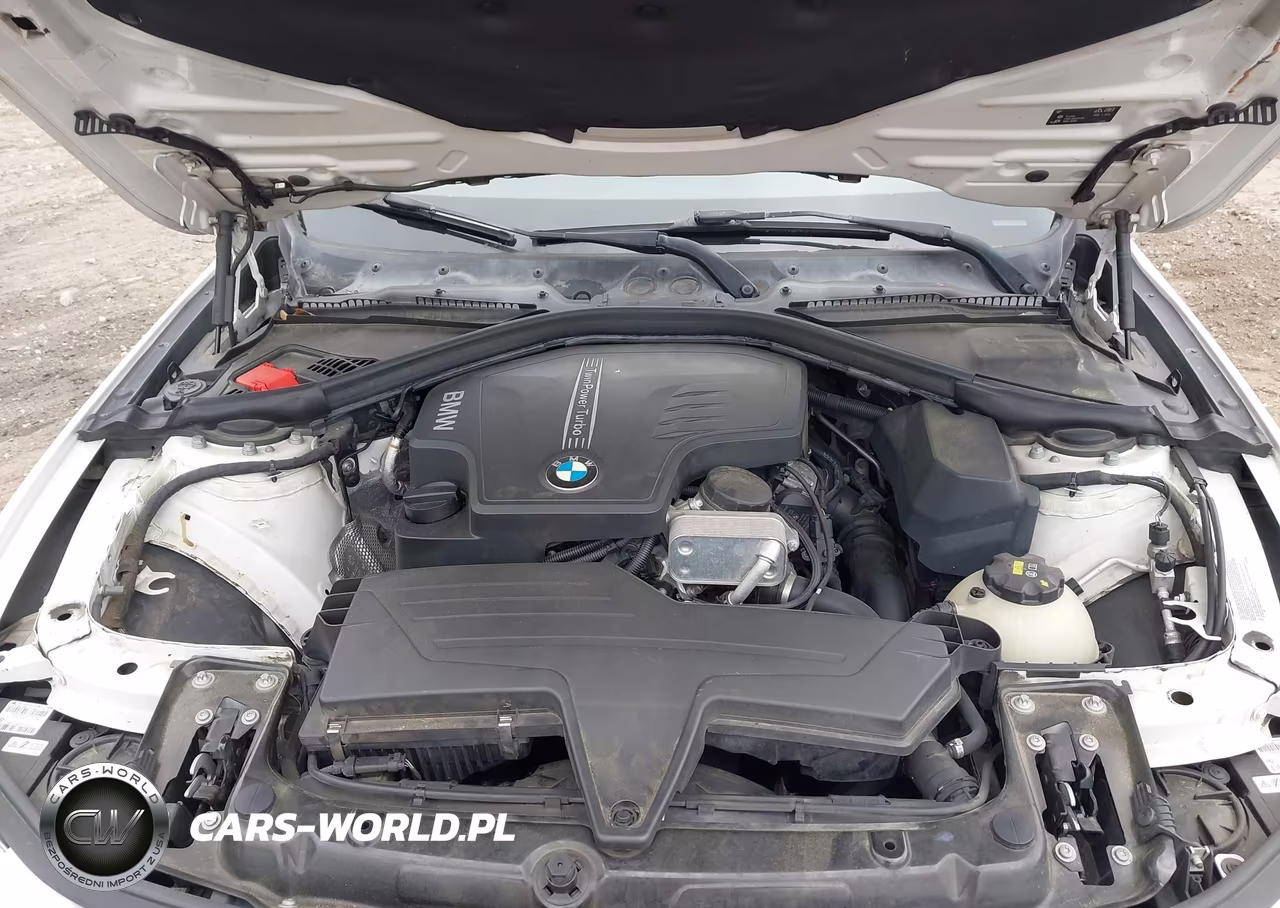 2016 BMW 428I Gran Coupe VIN:WBA4A9C55GGL89288 - 10