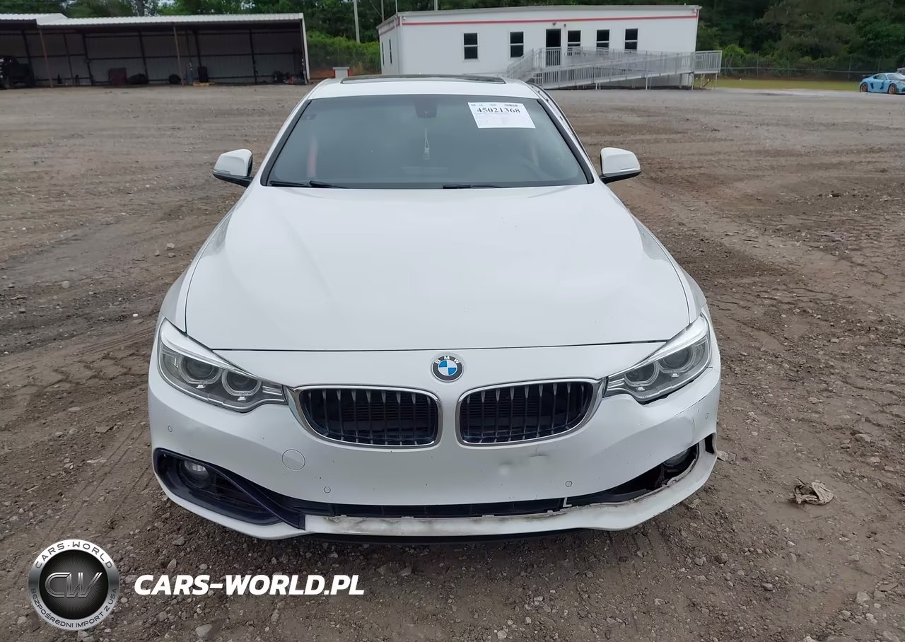 2016 BMW 428I Gran Coupe VIN:WBA4A9C55GGL89288 - 11