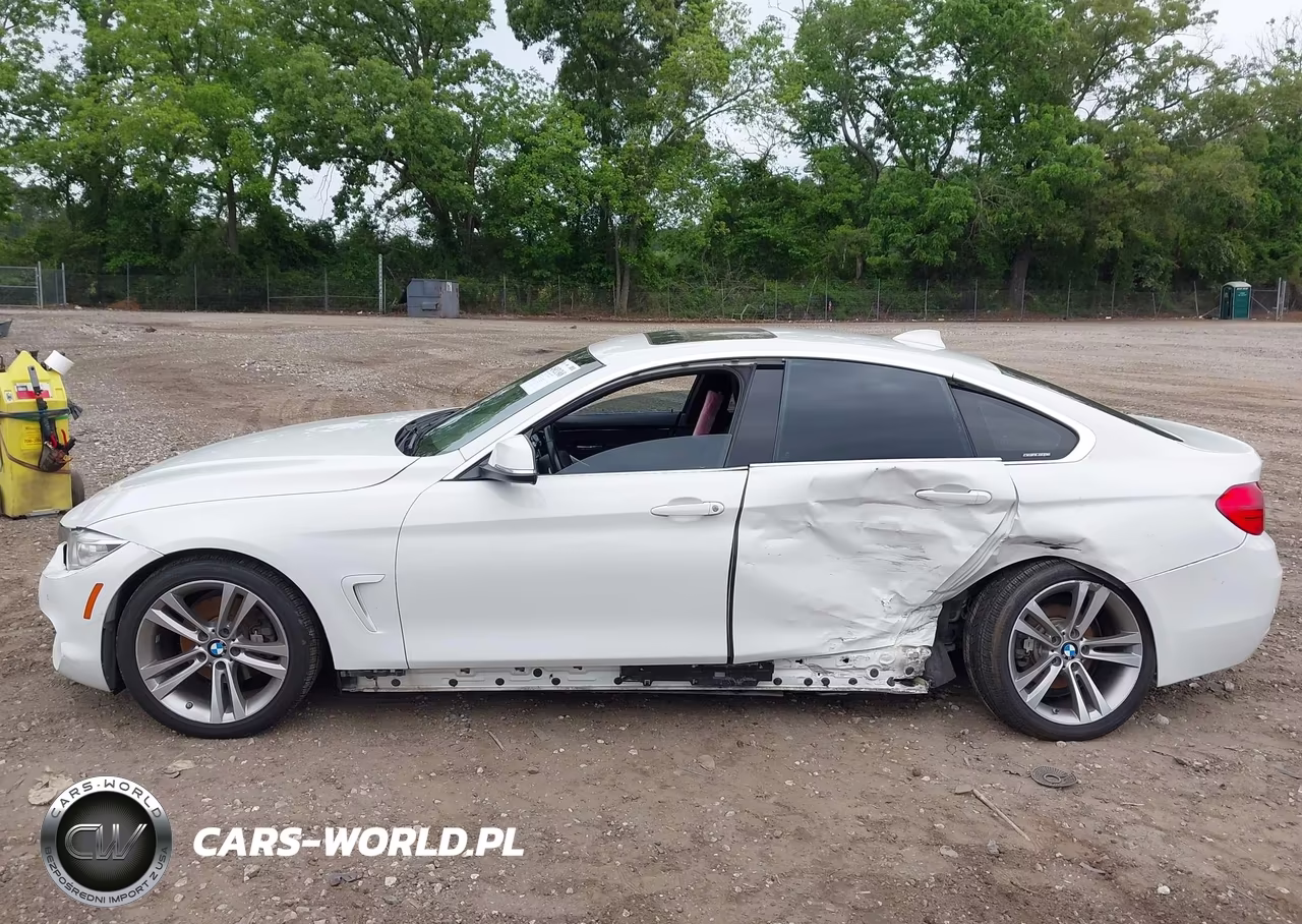 2016 BMW 428I Gran Coupe VIN:WBA4A9C55GGL89288 - 13