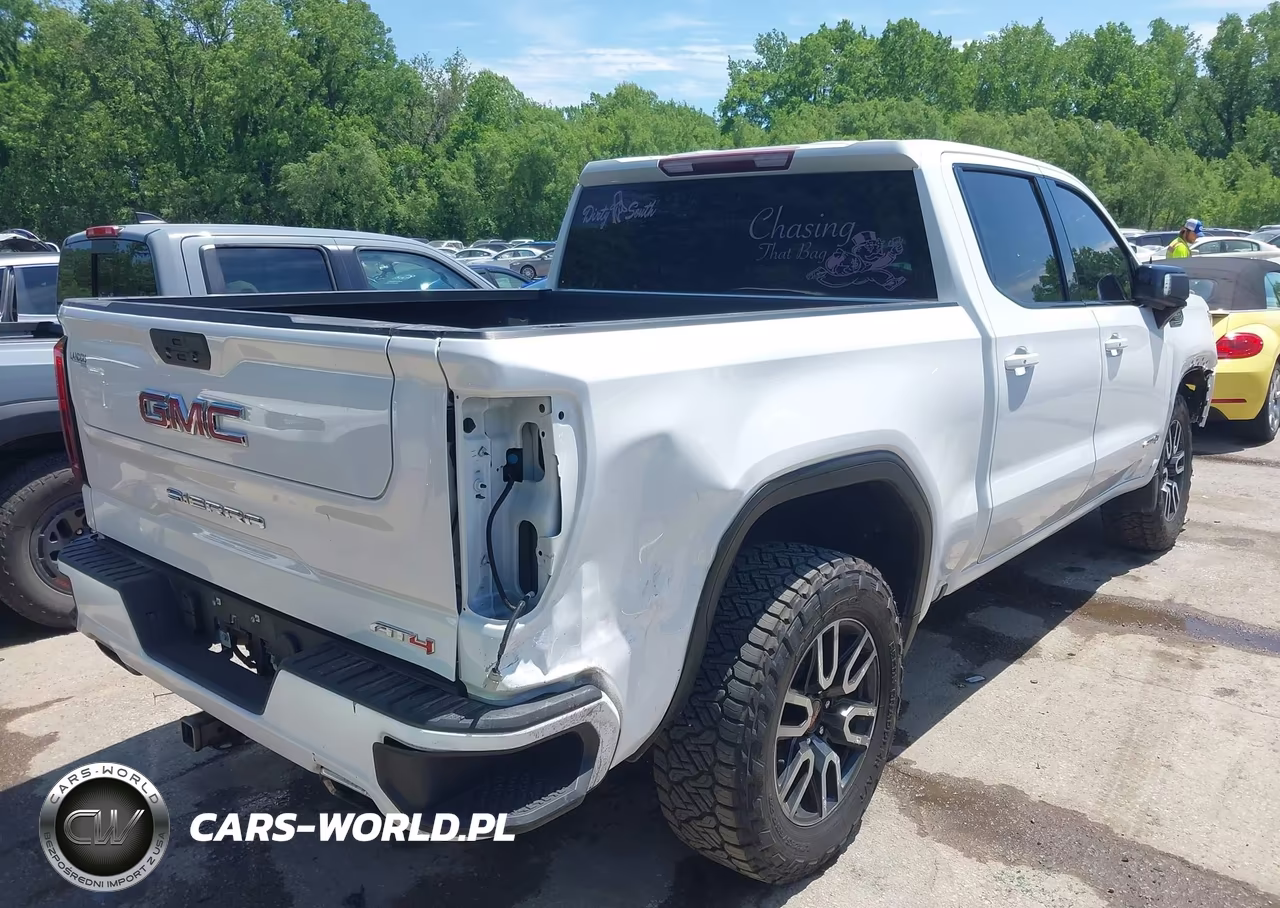 2021 GMC Sierra 1500 4Wd Short Box At4 VIN:1GTP9EED2MZ377198 - 4