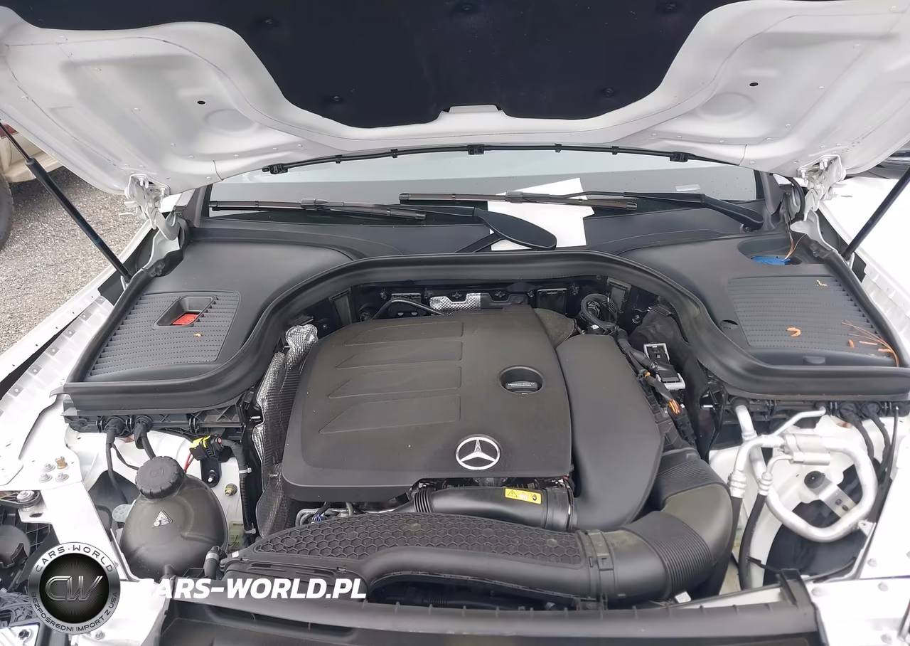 2020 Mercedes-Benz Glc 300 Coupe 4Matic VIN:W1N0J8EB8LF856758 - 10
