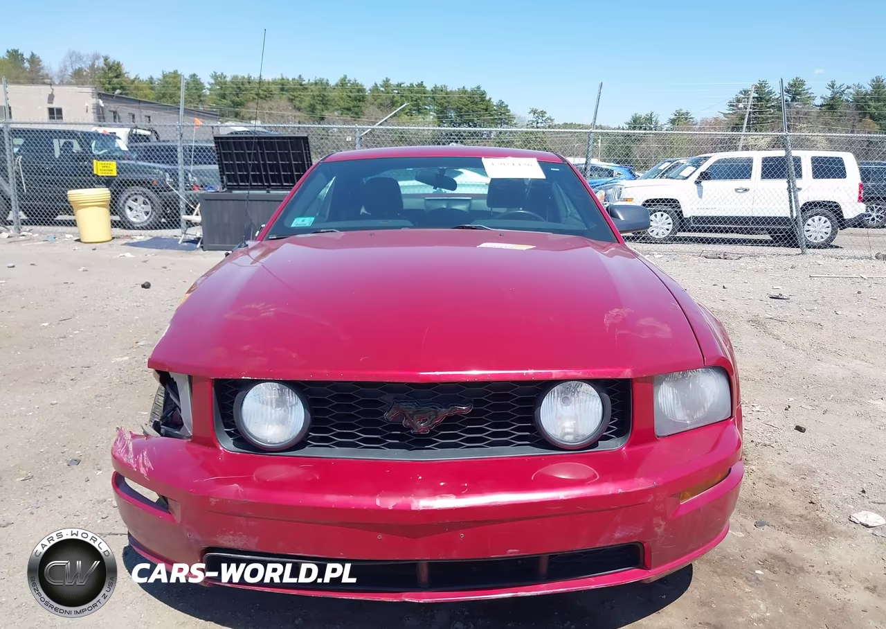 2005 Ford Mustang Gt Deluxe-Gt Premium VIN:1ZVHT82H255103598 - 12
