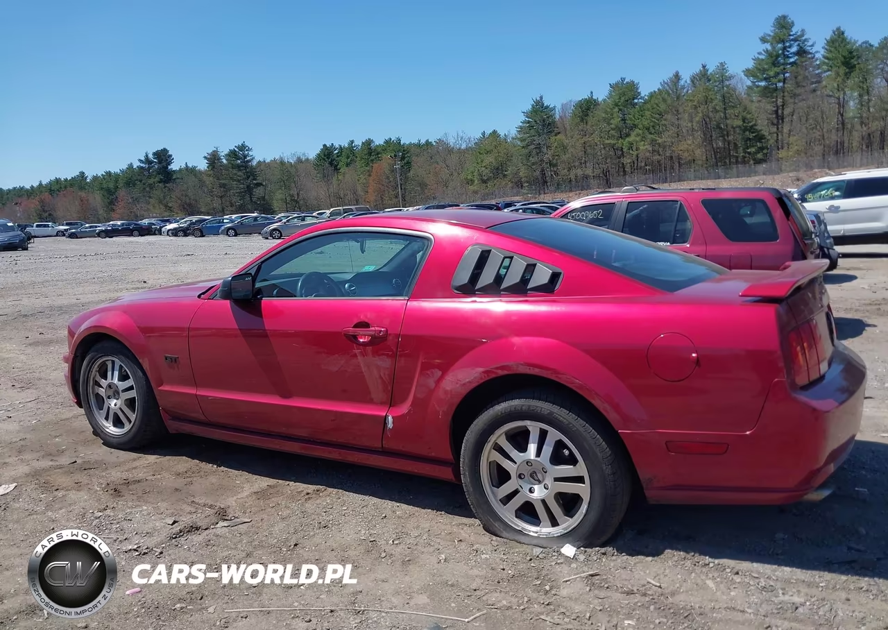 2005 Ford Mustang Gt Deluxe-Gt Premium VIN:1ZVHT82H255103598 - 14