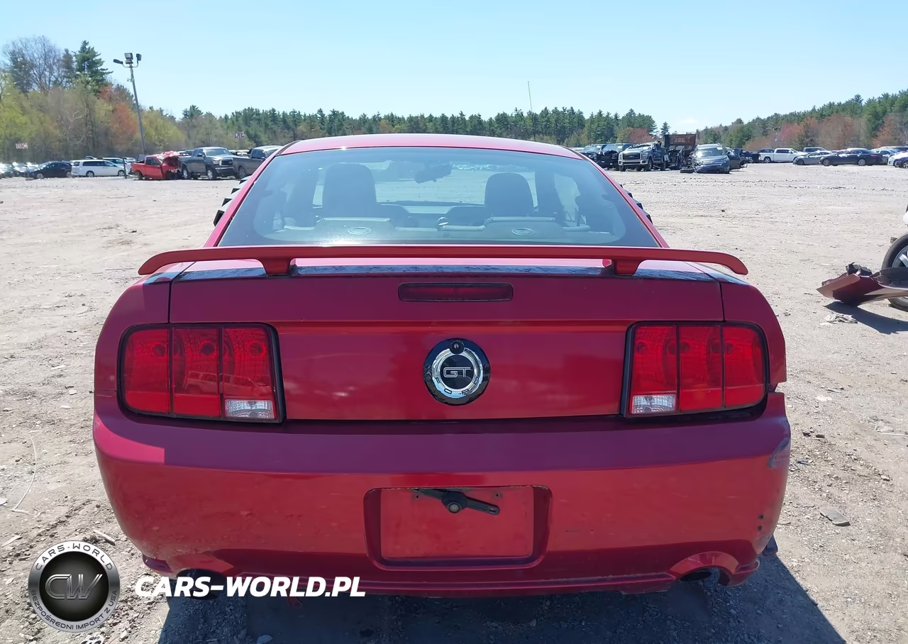 2005 Ford Mustang Gt Deluxe-Gt Premium VIN:1ZVHT82H255103598 - 16