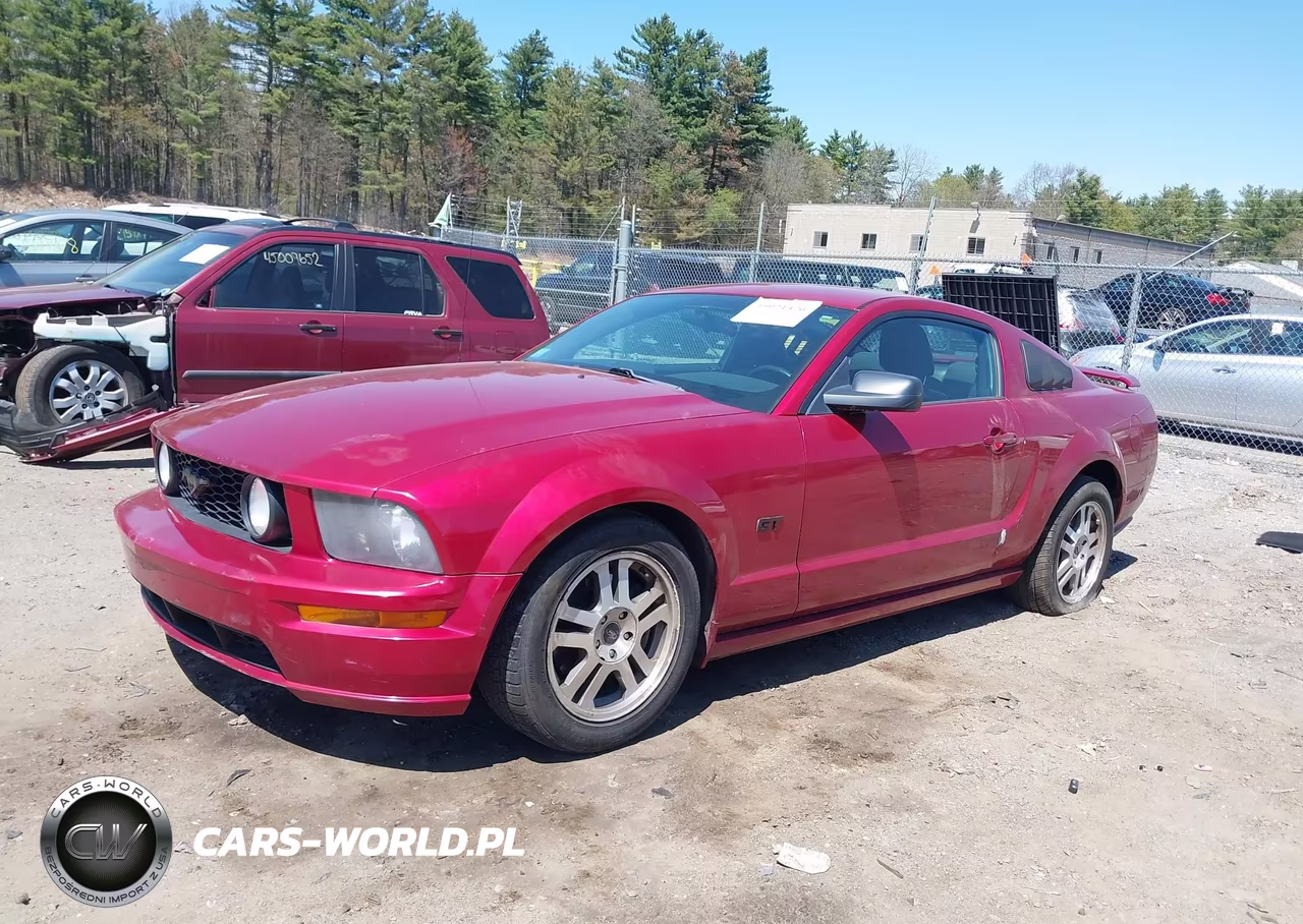 2005 Ford Mustang Gt Deluxe-Gt Premium VIN:1ZVHT82H255103598 - 2