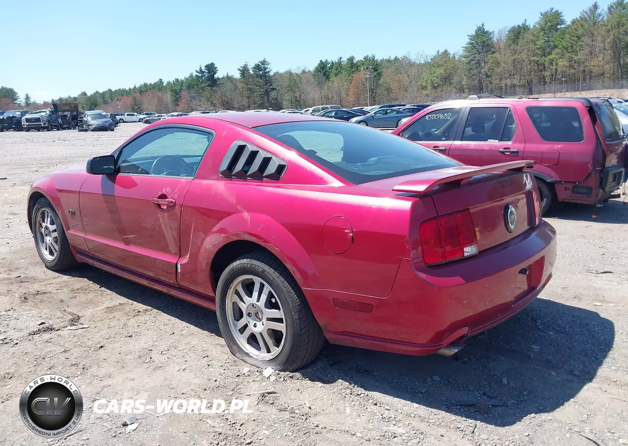 2005 Ford Mustang Gt Deluxe-Gt Premium VIN:1ZVHT82H255103598 - 3